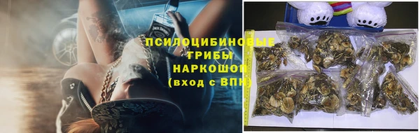 эйфоретик Балахна
